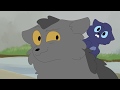 Graystripe