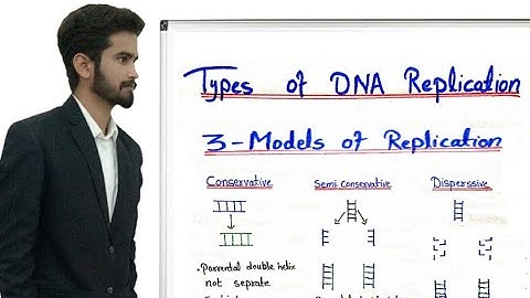 Types of DNA Replication - Conservative, Semi-Conservative & dispersive Replication - Urdu/Hindi