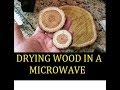 Drying Crosscut Slices of Wood in Microwave