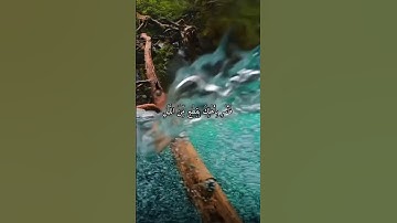 واتس اب قران كريم القارئ ياسر دوسري (سوره هود)