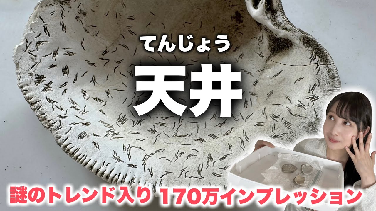 Mysterious Fossil] A mysterious mark on a shell fossil looks so