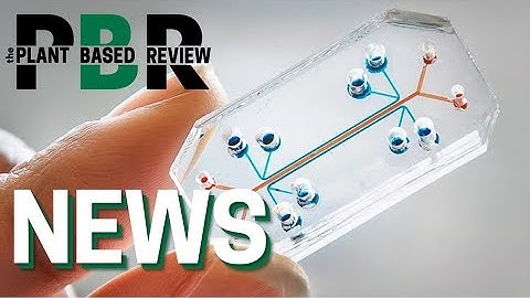 Latest A.I. Technology Tool Creates Alternatives to Animal Testing