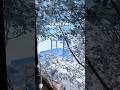 Secret Rust Spot in Trainyard?? - #rust #rustgame #rustshorts #shorts #rustclips