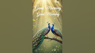 #shortvideo #shortsfeed #shorts #viral #viralvideo #viralshorts #video #song #reels #music #animals