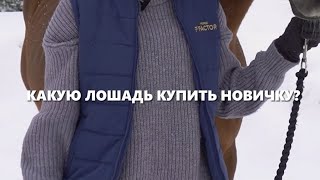 Какую лошадь купить?