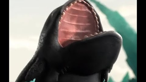 Toothless becomes the alpha