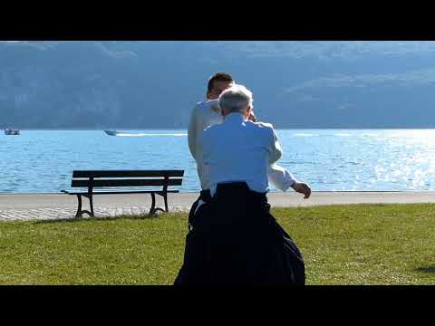 Aikido FFAB Gilbert Milliat Shihan