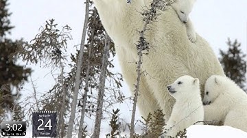 How to use an Xbox 360 Controller on Windows 8/8.1
