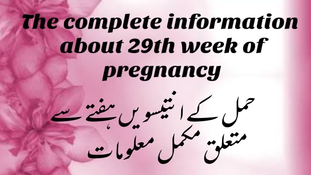 pregnancy-at-29th-week-the-complete-mother-s-guide-about-29th-week-of