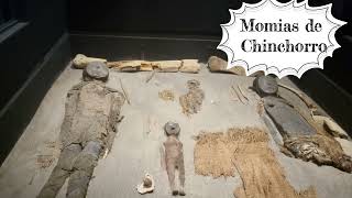 VLOG MUSEO ARQUEOLÓGICO DE SAN MIGUEL DE AZAPA , ARICA/ PAOLA TÚ CONSULTORA NATURA DE PASEO