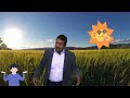 CHISTE 😄😃😄 ¿ POR QUÉ NO SE CAE EL 😎 SOL?