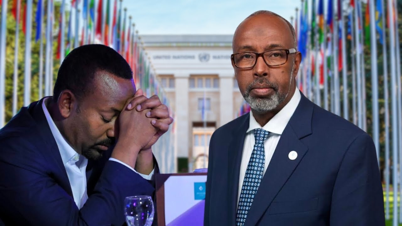 UN SECURITY :Somalia’s Ambassador to the UN delivers speech at the UN ...