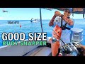 Deepsea Jigging Guna Shimano Tranx 401 | Kedalaman 300 Meter No Problem