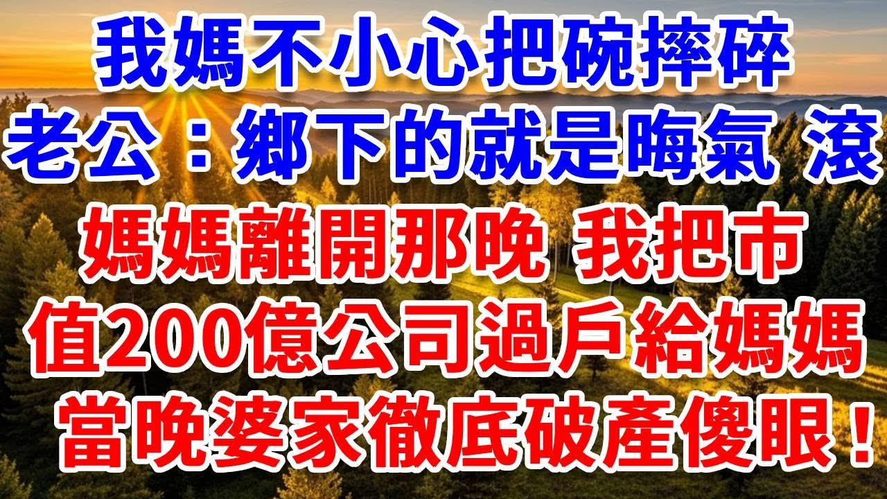 我媽不小心把碗摔碎，老公：鄉下的就是晦氣，快滾！媽媽離開那晚，我把市值200億公司過戶給媽媽，當晚婆家徹底破產傻眼了！#思妤說故事#為人處世#生活經驗#情感故事#晚年哲理#說故事#完結文#原創故事