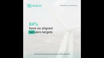 The Future of the Electric Utilities Industry