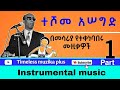 Teshome Asseged ተሾመ አሠግድ በመሳሪያ የተቀነባበሩ ሙዚቃዎች Instrumental Music Part 1