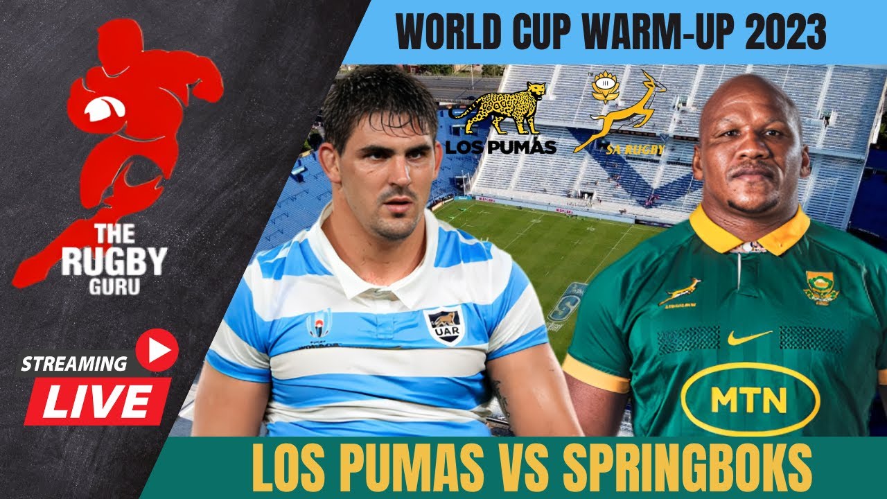 springbok live match