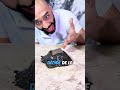 À Quoi Ressemble Réellement Le Venin Au Microscope
