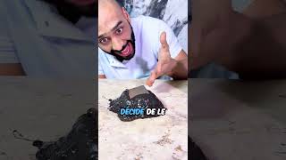 À Quoi Ressemble Réellement Le Venin Au Microscope