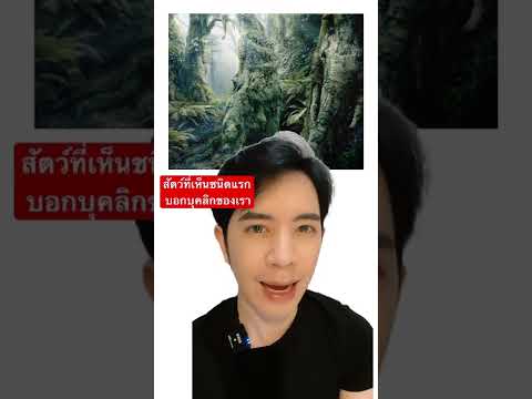 วีดีโอ: คุณยึดมั่นในบางสิ่งบางอย่างได้อย่างไร?