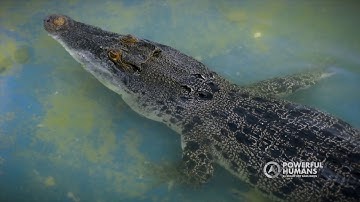 INTO the UNKNOWN – Decision Making Workshop