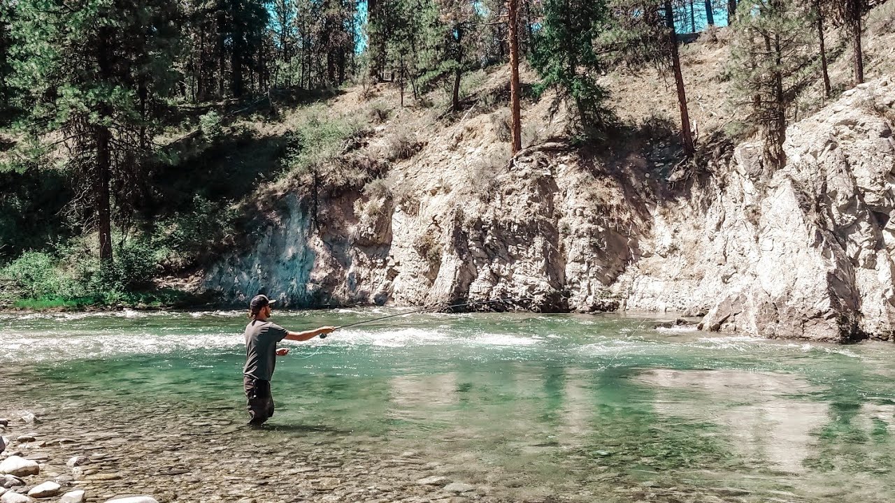 Fly fishing for trout (South Fork Payette River) YouTube