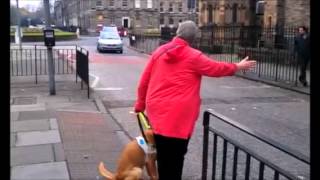 Neatebox pedestrian - understand in the problem