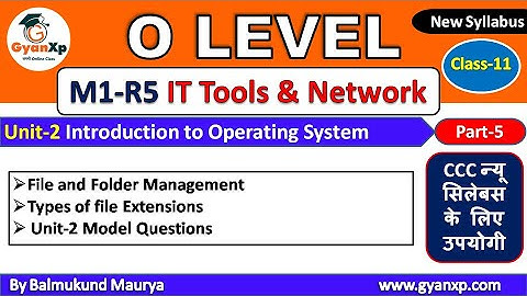 IT Tools & Natwork Basics (M1-R5) || Class 11 || Unit-2 Part-5 | O Level New Syllabus | GyanXp