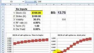 Information FRM: Stock Option Greeks Guide