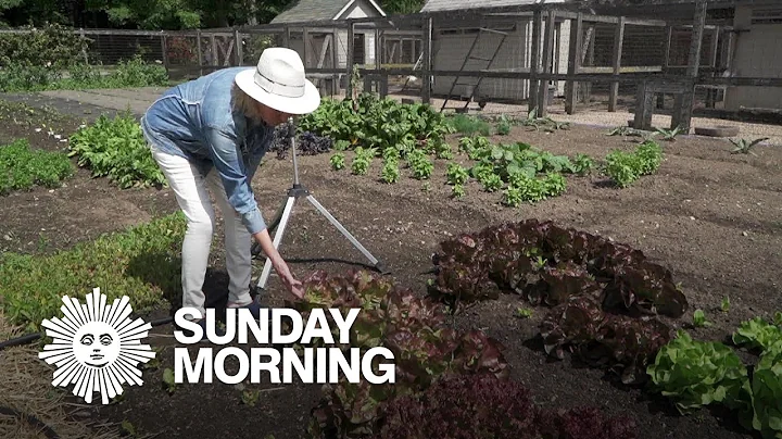 A tour of Martha Stewarts vegetable garden