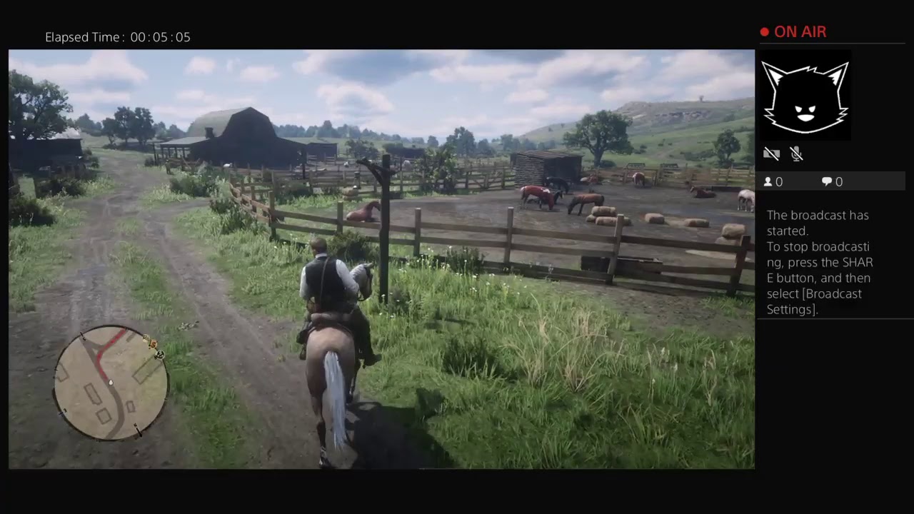 RDR2 ch2 saveBill