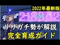 【原神】リサガチ勢が「武器/聖遺物/相性の良いキャラ」などを徹底解説!