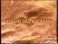 Superquark - I leoni del Kalahari (23/05/97)