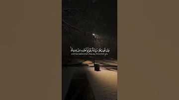 #تلاوة_خاشعة  آيات من كتاب الله راحة لقلبك وسمعك #القرآن_الكريم #قرانكريم #لايك #قران #دويتو #قراني