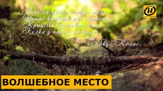 Экотропа "Святые криницы": где в Беларуси находится гидрологический памятник природы?