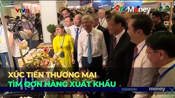 Xúc tiến thương mại giúp doanh nghiệp xuất khẩu tìm đơn hàng | VTVMoney