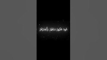 سورة فصلت | القارئ محمد اللحيدان🤍🖤