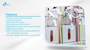 Ecell Quartz-Cell (Mini-Multi Bioreactor 6 ch)