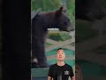 Calgary Bear Alert: 11 Communities at Risk 🚨