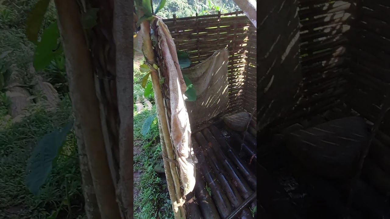 Jamban tradisional di pesawahan 