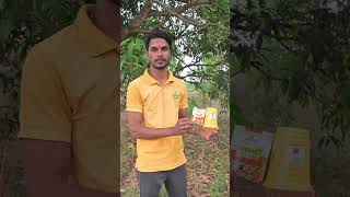 फलमख्खी पर रामबाण उपाय | भविष्य का खतरा आज ही ख़त्म | Best Fruit Fly Trap For mango | Mango Fruit Fly