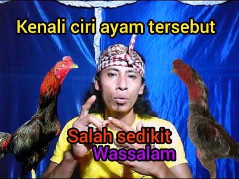 Ciri fisik aym main atas dan main bawah