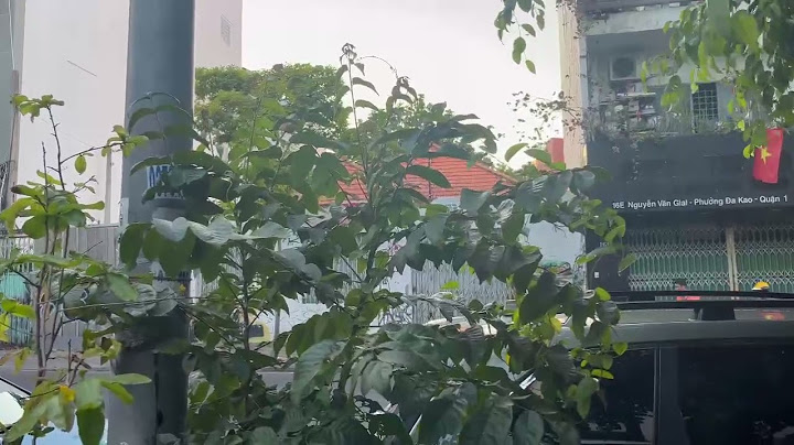 59 nguyễn văn giai phường đakao quận 1 hcm năm 2024