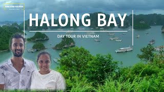 Full Halong Bay - Day Cruise | Itinerary & Experience - Complete travel guide | Vietnam 2023 | Ep 3 🇻🇳 Update