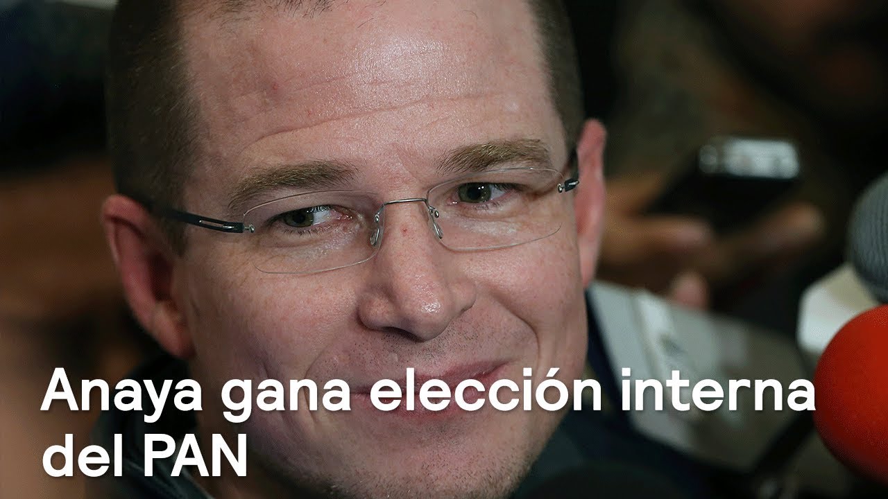 PAN realiza elección interna para designar a su candidato presidencial - Despierta con Loret