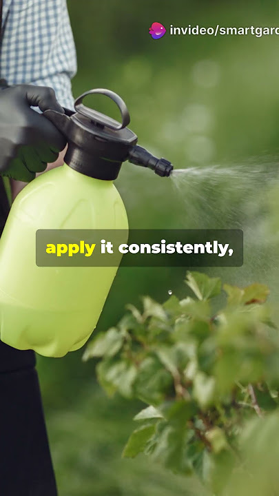 Neem Oil: The Only Pesticide Your Garden Actually Needs? #NaturalGardening #NeemPower
