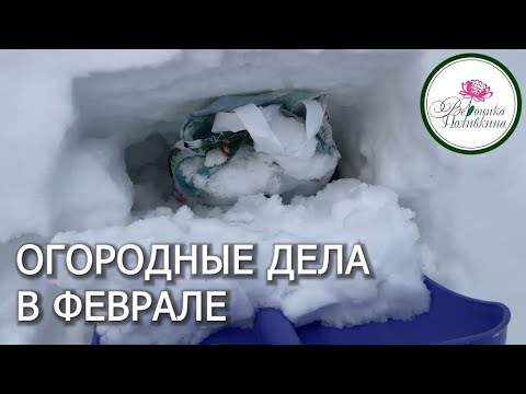 САДОВО-ОГОРОДНЫЕ ДЕЛА В ФЕВРАЛЕ