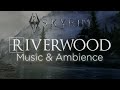 Skyrim music and ambience  riverwood day and night 4k  60fps  mods