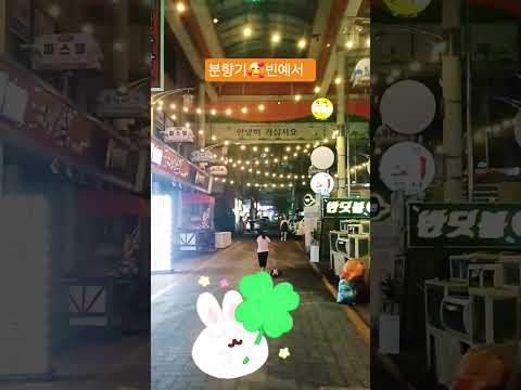 #분향기 #빈예서 #전통시장#도계부부시장#shorts🍀#일화tv구독 좋아요 💕부탁합니다