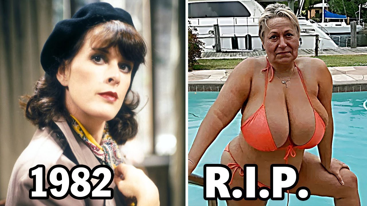 Allo Allo 1982 Cast Then And Now After 43 Years What Happened To allo-allo-1982-cast-then-and-now-after-43-years-what-happened-to